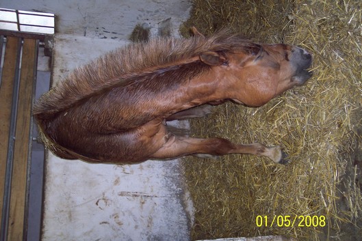 1.5.2008 002.jpg