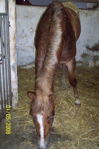 1.5.2008 003.jpg