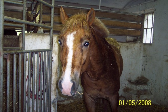 1.5.2008 004.jpg