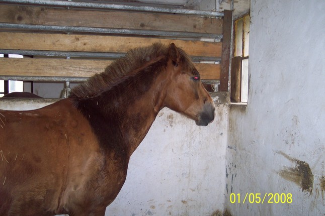 1.5.2008 005.jpg