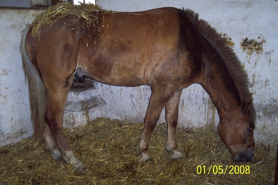 1.5.2008 009.jpg