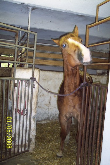 1.5.2008 015.jpg